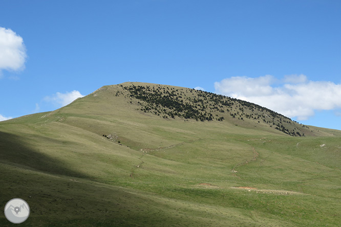 Taga (2.040m) des de Pardines 1 