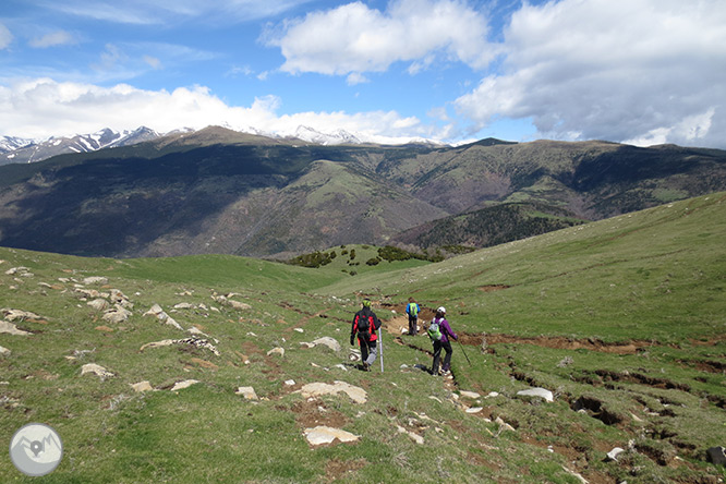 Taga (2.040m) des de Pardines 1 