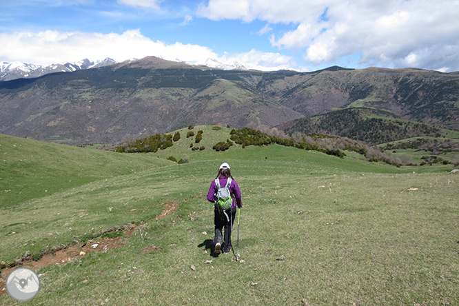 Taga (2.040m) des de Pardines 1 