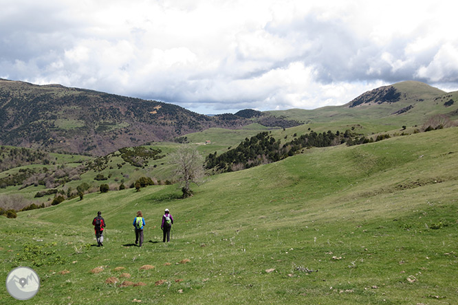 Taga (2.040m) des de Pardines 1 