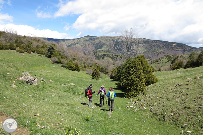 Taga (2.040m) des de Pardines 1 