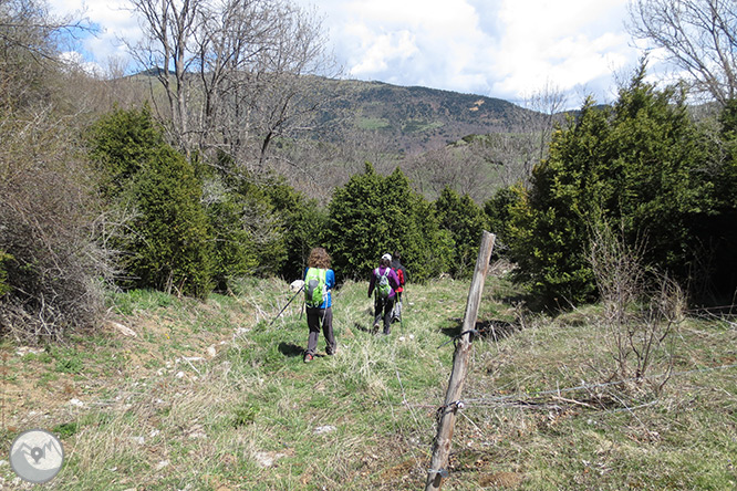 Taga (2.040m) des de Pardines 1 