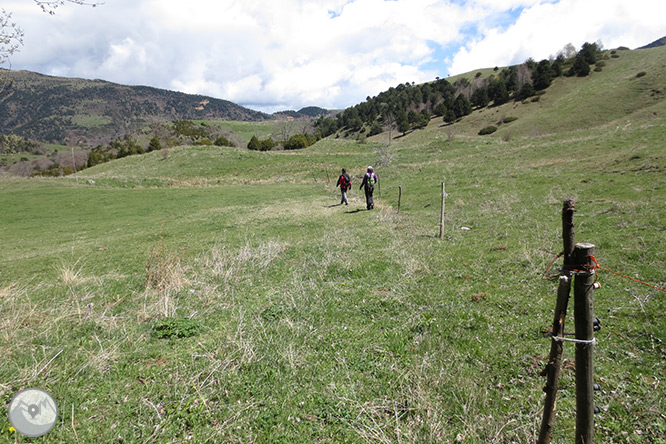 Taga (2.040m) des de Pardines 1 