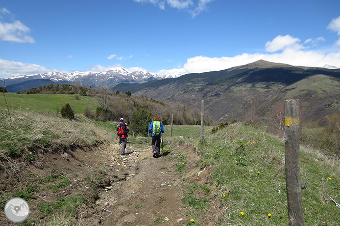 Taga (2.040m) des de Pardines 1 