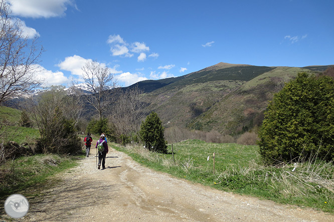 Taga (2.040m) des de Pardines 1 