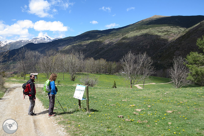 Taga (2.040m) des de Pardines 1 