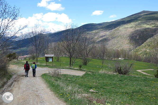 Taga (2.040m) des de Pardines 1 