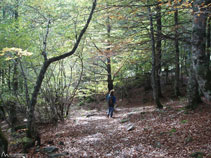 Tornant de la cascada de Pomèro.