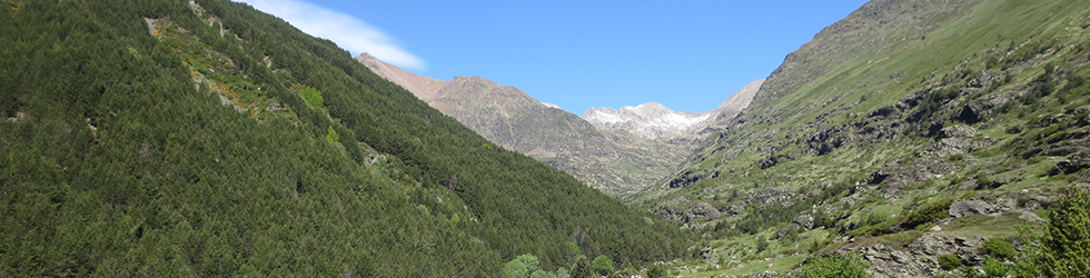 Vall de Riqüerna i camí de Rus des de Capdella