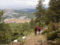 Entre el bosc podem veure els nostres cotxes al fons.